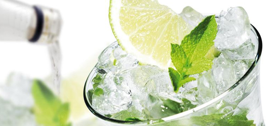 mojitoproductoweb